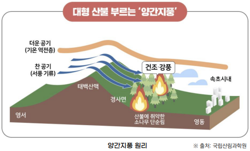 대형산불 이미지3