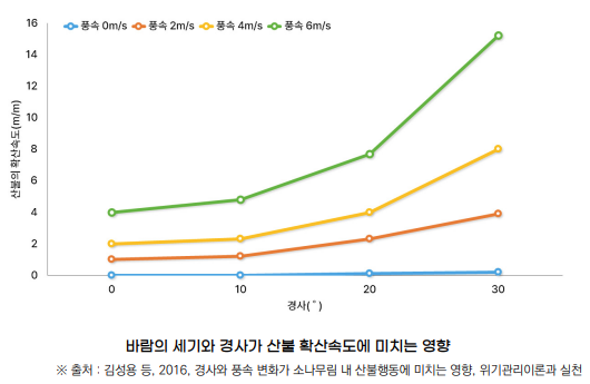 대형산불 이미지4