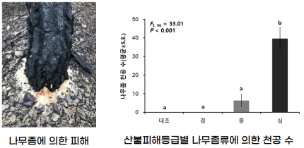 산불피해 이미지1