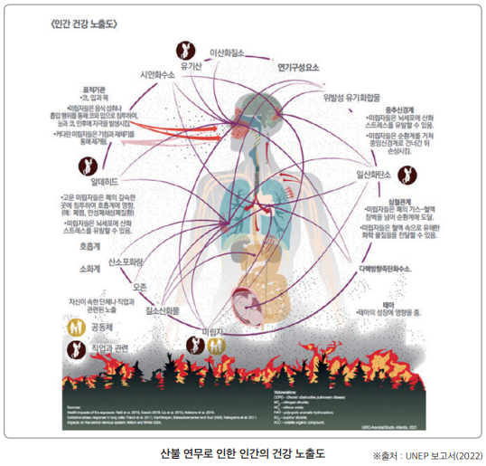 산불피해 이미지2_2