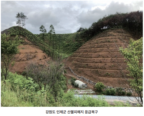 산불피해 이미지4