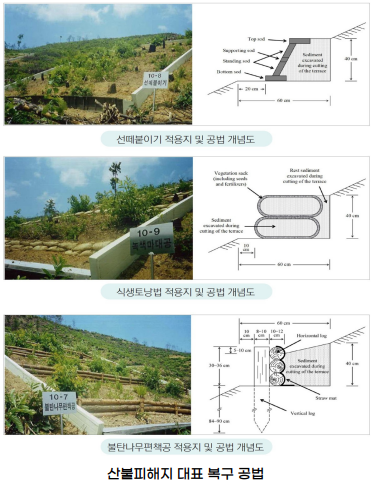 산불피해 이미지4
