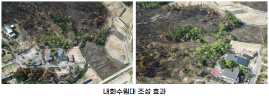 산불피해 이미지5_3