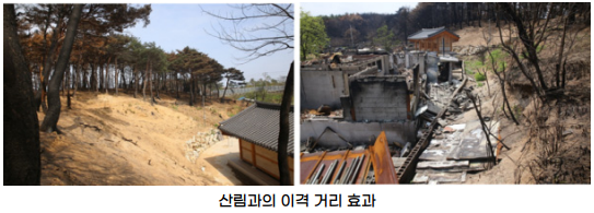 산불피해 이미지5_4