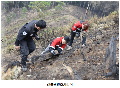 산불조사 이미지1