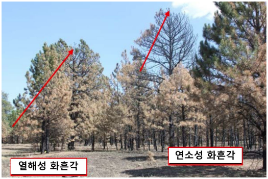 산불조사 이미지3_4