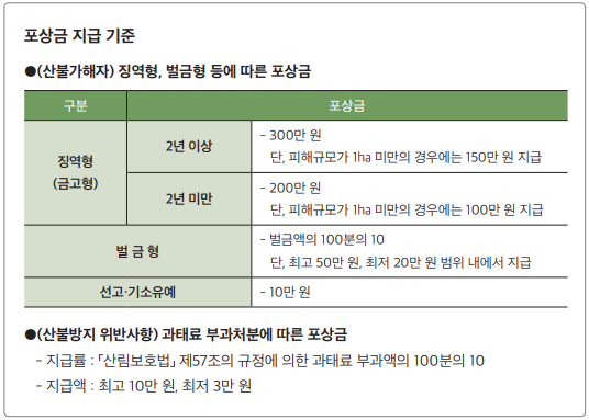 산불조사 이미지6