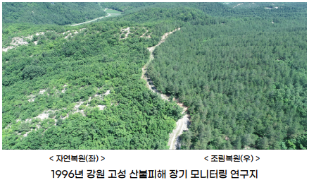산불복구 이미지1