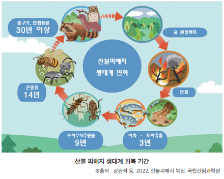 산불복구 이미지3
