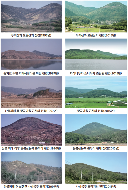 산불복구 이미지4_1