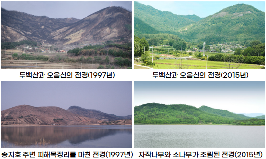 산불복구 이미지4_1