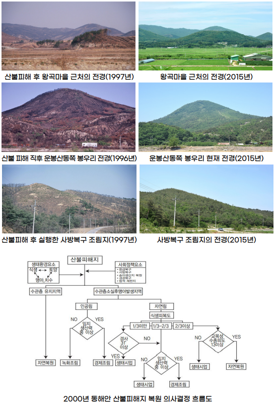 산불복구 이미지4_2