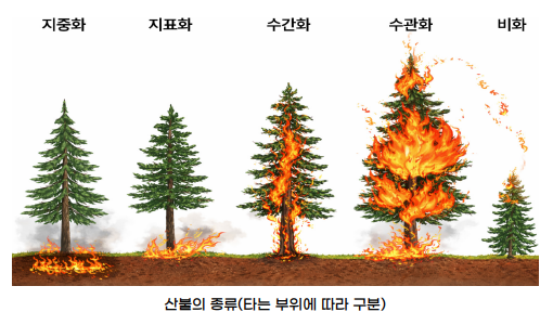 일반산불 이미지1