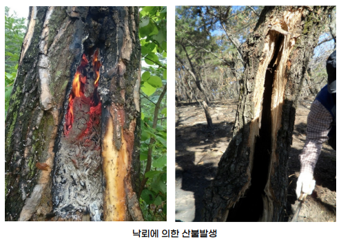 일반산불 이미지4