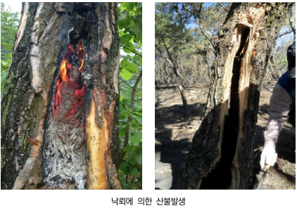 일반산불 이미지6